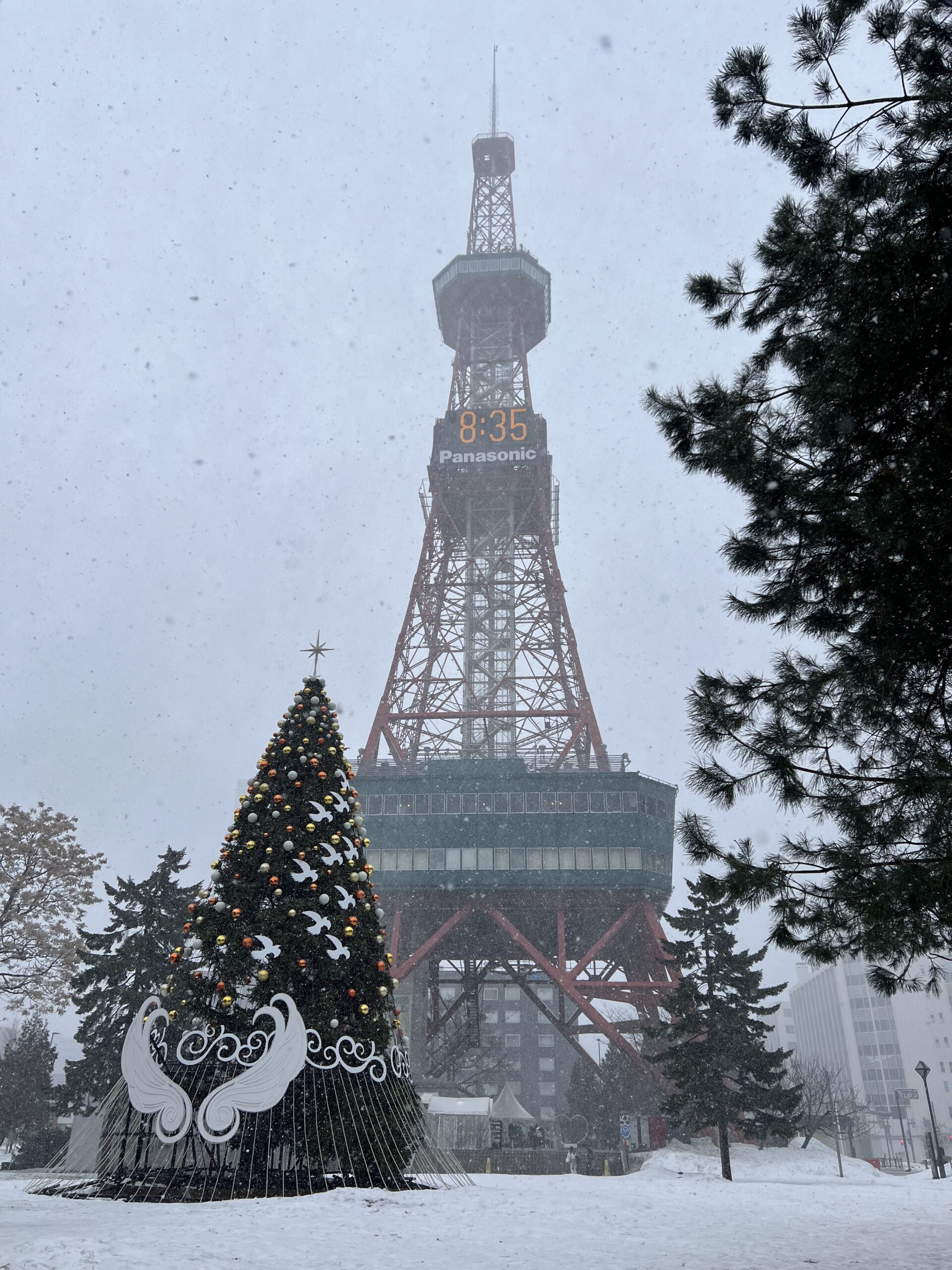 雪が降る札幌テレビ塔とクリスマスツリーの冬景色