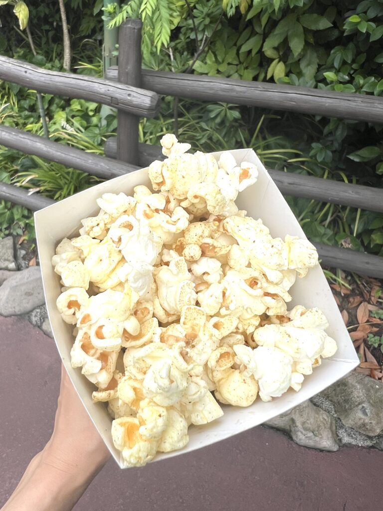 東京ディズニーランドのカレーフレーバーポップコーン