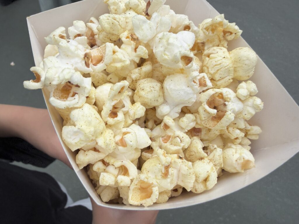 東京ディズニーランドで購入したレギュラーボックス入りポップコーン